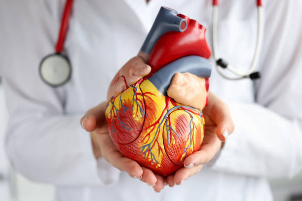 best cardiologist in vashi best cardiologist in vashi